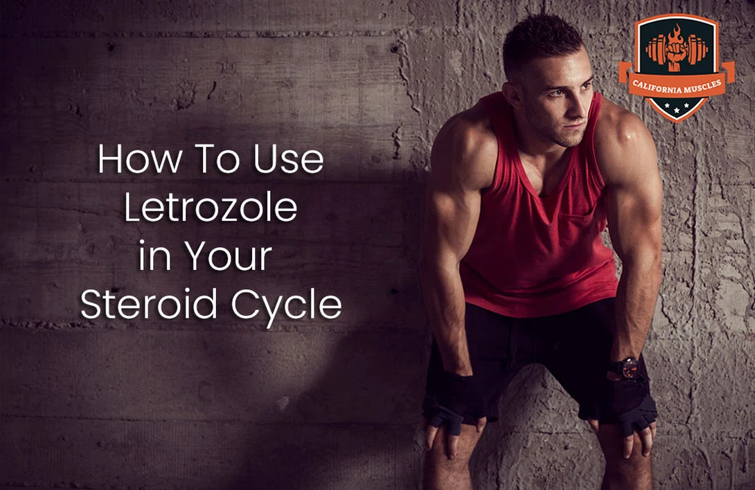 How-To-Use-Letrozole-in-Your-Steroid-Cycle How-To-Use-Letrozole-in-Your-Steroid-Cycle