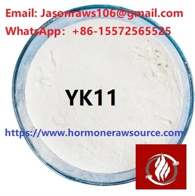 אבקת YK11 באיכות מעולה לפיתוח גוף CAS:1370003-76-1
